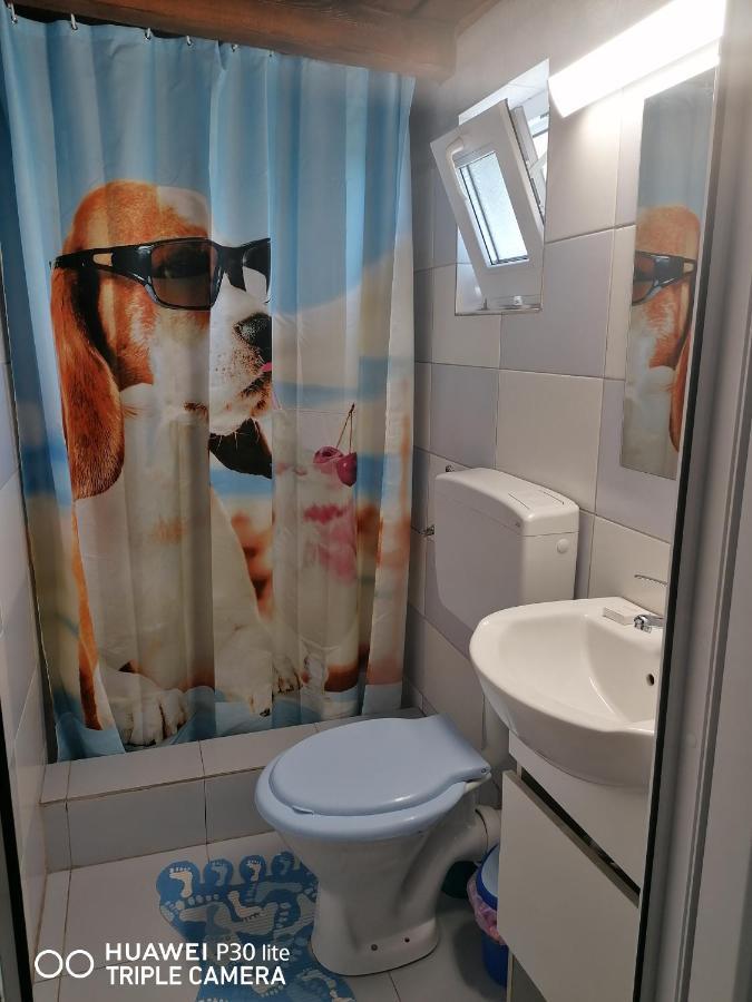 Casa Stefy Vama Veche Вама-Веке Экстерьер фото